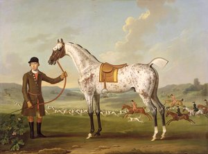 Cipião, caçador manchado do coronel Roche, c.1750
