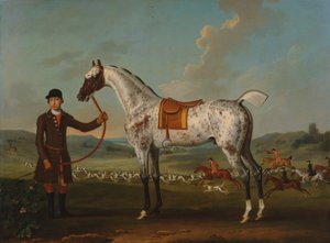 Scipio, um caçador malhado, propriedade do Coronel Roche