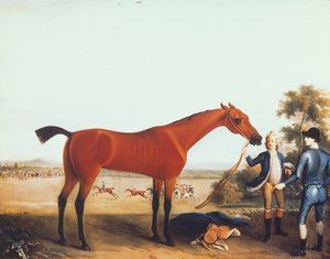 O cavalo de corrida do Duque de Devonshire 