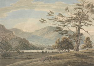 Paisagem: Árvores, Lagos e Montanhas, Região dos Lagos