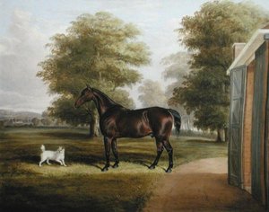 Um Cavalo de Baía com um Terrier de Thomas W. Bretland