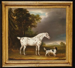 Cavalo e spaniel Appaloosa, 1807