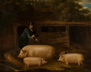 Harry Green, Pigman, com seus porcos em um chiqueiro, c.1794-1843 (óleo sobre tela)