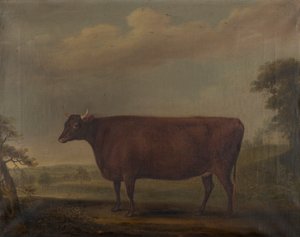 Vitelas Red Devon na paisagem, c.1812 (óleo sobre tela)