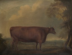 Red Devon Novilhas em paisagem, c.1812 (óleo sobre tela)