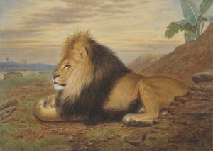 Um Leão de Thomas William Wood