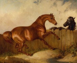 Garanhão e Égua (óleo sobre tela)