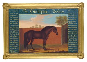 The Godolphin Arabian (óleo sobre tela) de Thomas of Pall Mall Butler