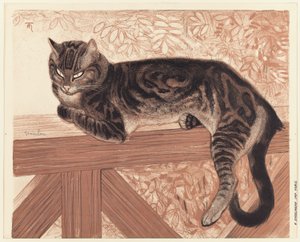 verão: Gato numa balaustrada