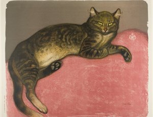 inverno: Gato numa almofada