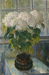 Hortênsia de Thorolf Holmboe