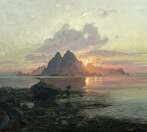 Phalacrocoarax aristotelis ao sol da meia-noite