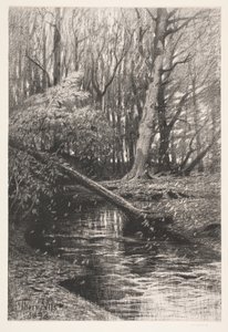 Paisagem da floresta com um riacho de Thorvald Niss