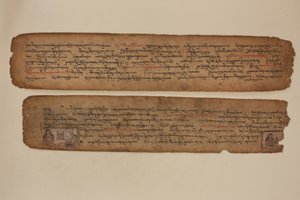  de Tibetan School