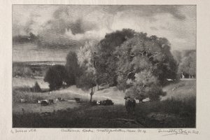 Carvalhos de outono de Timothy Cole