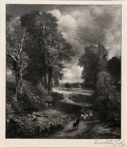 Campo de milho de Timothy Cole