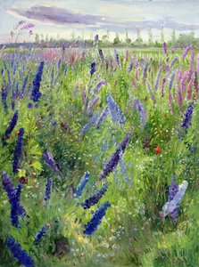 Delphiniums e Sol Emergente de Timothy Easton