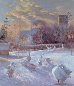 Primeira luz, 1994 de Timothy Easton