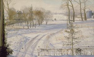 Pesquisando Moorhens de Timothy Easton