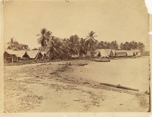 [Cabanas, palmeiras e praia, Itshumus, em Darién (Panamá)] de Timothy H. O