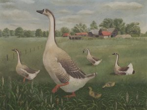 Vai deambular? de Tirzah Ravilious