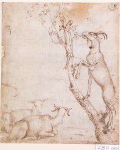 Cabras no pasto (caneta e tinta sobre papel)