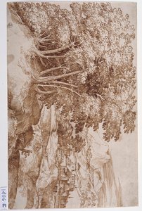 Paisagem com árvores à esquerda e uma cidade ao fundo (caneta e tinta sobre papel) de Titian (c.1488 1576)
