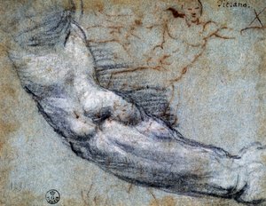 Estudo de braço, por Ticiano (ca. 1488-1576), desenho de Titian (c.1488 1576)