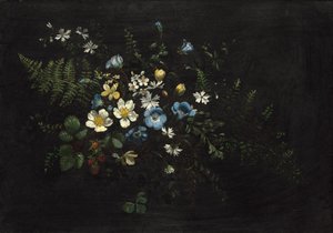 Pulverizador de Flores e Samambaias, data desconhecida. de Titian Ramsay Peale