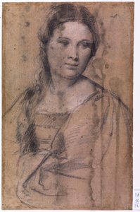 Retrato de uma jovem rapariga de Tiziano Vecelli