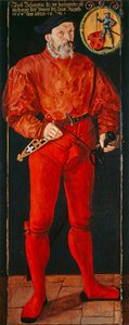 Retrato do portador-padrão de Zurique Jacob Schwytzer, 1564