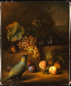 Um papagaio com uvas, pêssegos e ameixas em uma paisagem