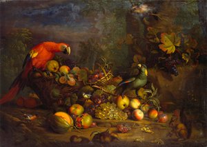 Papagaios e frutas com outras aves e um esquilo