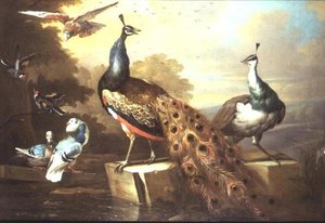 Pavão e Galinha de Ervilha numa Paisagem