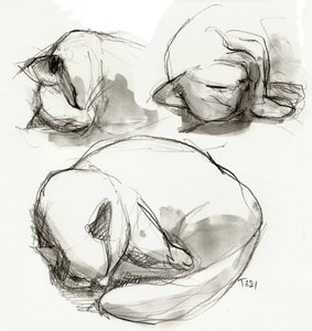 Estudos sobre gatos adormecidos de Tore Bahnson