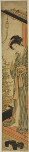 Mulher admirando glórias da manhã enquanto escova os dentes de Torii Kiyonaga