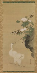 Egrets and Cotton Roses, de meados a finais do século XVII. de Tosa Mitsuoki