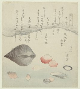 Concha da flor, concha vermelha e a concha vermelha pura
Hanagai akagai masuogai (título sobre o objecto)
Uma série de conchas (título da série)
Kaitsukushi (título da série sobre o objecto) de Totoya Hokkei