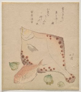 Linguado, dourada com fukujus? botões de Totoya Hokkei