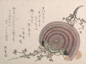 Capacete e flores de ameixa. de Totoya Hokkei