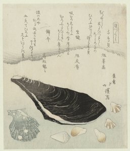 Concha de tarambola, mexilhão cru e concha de brocado
Chidorigai namakaki nishikigai (título sobre o objecto)
Uma série de conchas (título da série)
Kaitsukushi (título da série sobre o objecto) de Totoya Hokkei