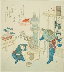 Planta em vaso (Ueki), da série "Dezoito Ilustrações da Escada das Palavras Antigas (Kogentei juhachiban tsuzuki)" de Totoya Hokkei