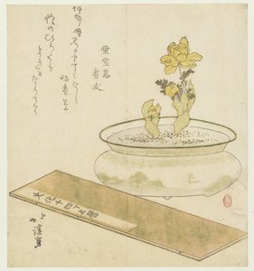 Planta em vaso e Almanaque de Totoya Hokkei