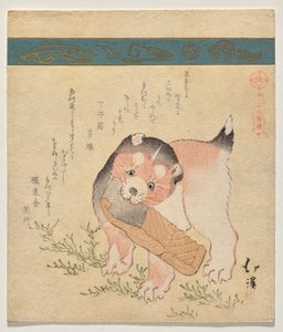 Cachorrinho com fatia de salmão seco de Totoya Hokkei