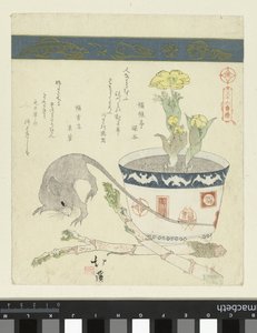Rato e tigela com Adónis
Uma série de trinta e seis aves (título da série)
Sanjûrokutoritsukushi (título da série sobre o objecto) de Totoya Hokkei