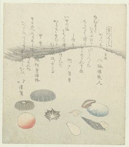 Conchas redondas vermelhas e azuis com conchas mais pequenas
Uma série de conchas (título da série)
Kaitsukushi (título da série sobre o objecto) de Totoya Hokkei