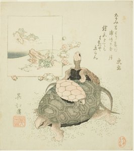 Sea turtles and Urashima Taro de Totoya Hokkei