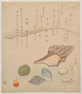 Seven Shells at the Edge of the Sea, da série Shells Compendium (Kaizukushi) de Totoya Hokkei