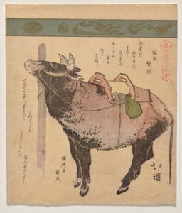 Boi amarrado de Totoya Hokkei