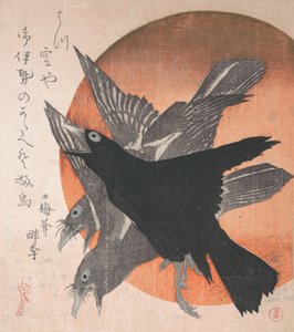 Three Crows against the Rising Sun, da série Three Sheets Mihira no uchi , ..., meados de 1810s. de Totoya Hokkei